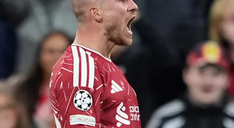 La Ligue des champions : domination anglaise et peu de surprises